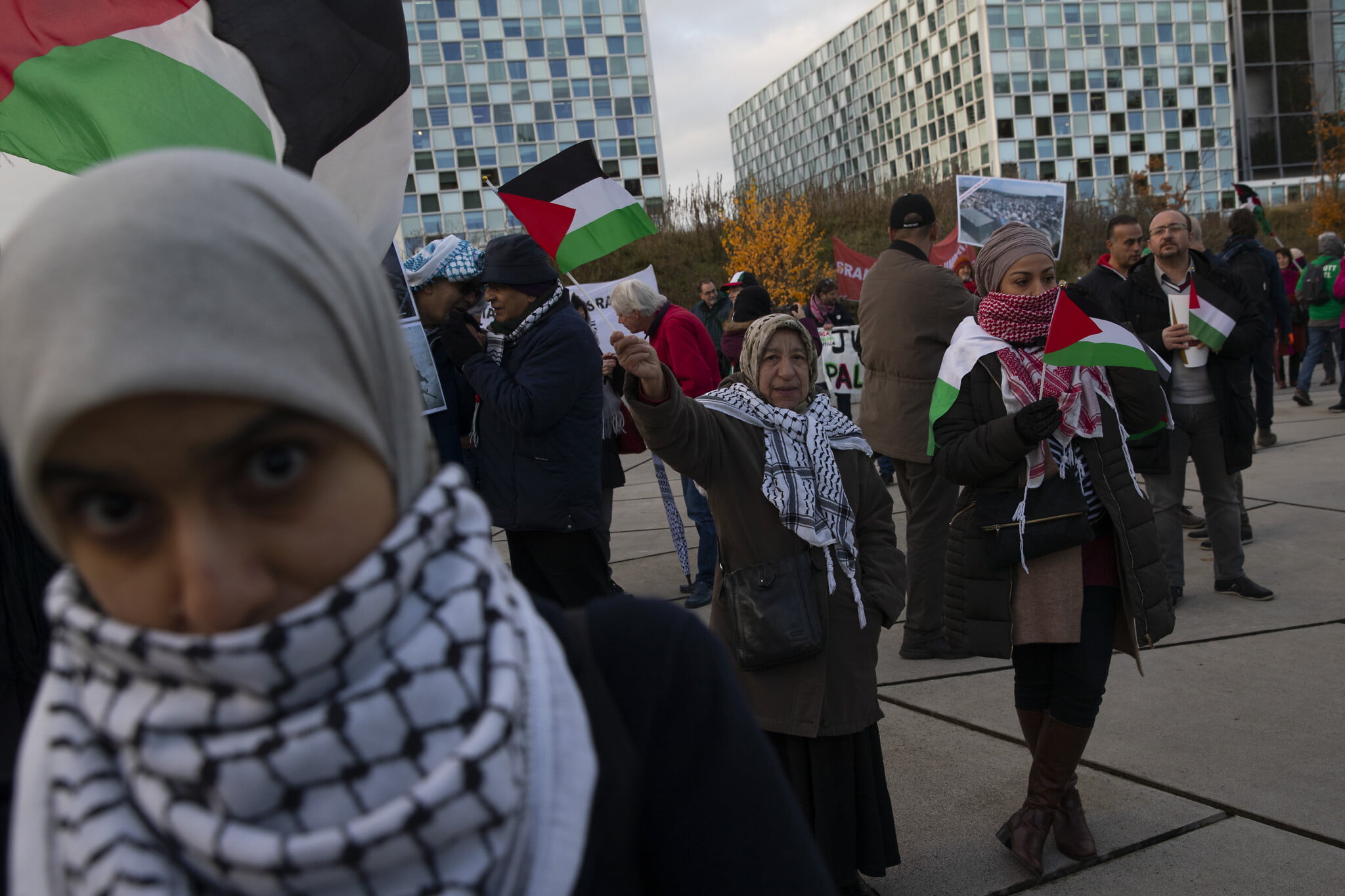 The Palestinian Question and the Role of the ICC