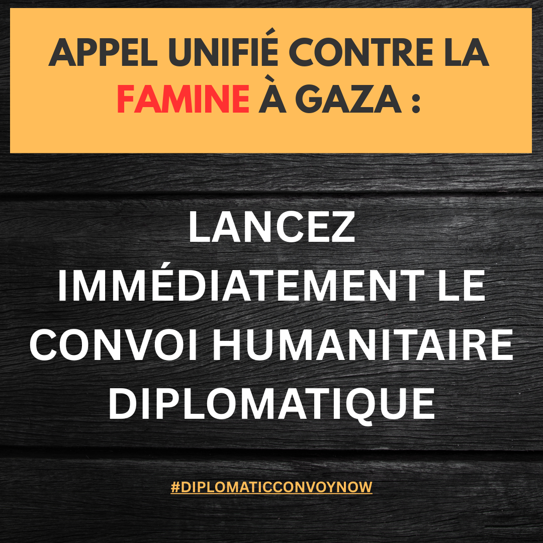 GAZA CONVOI HUMANITAIRE DIPLOMATIQUE