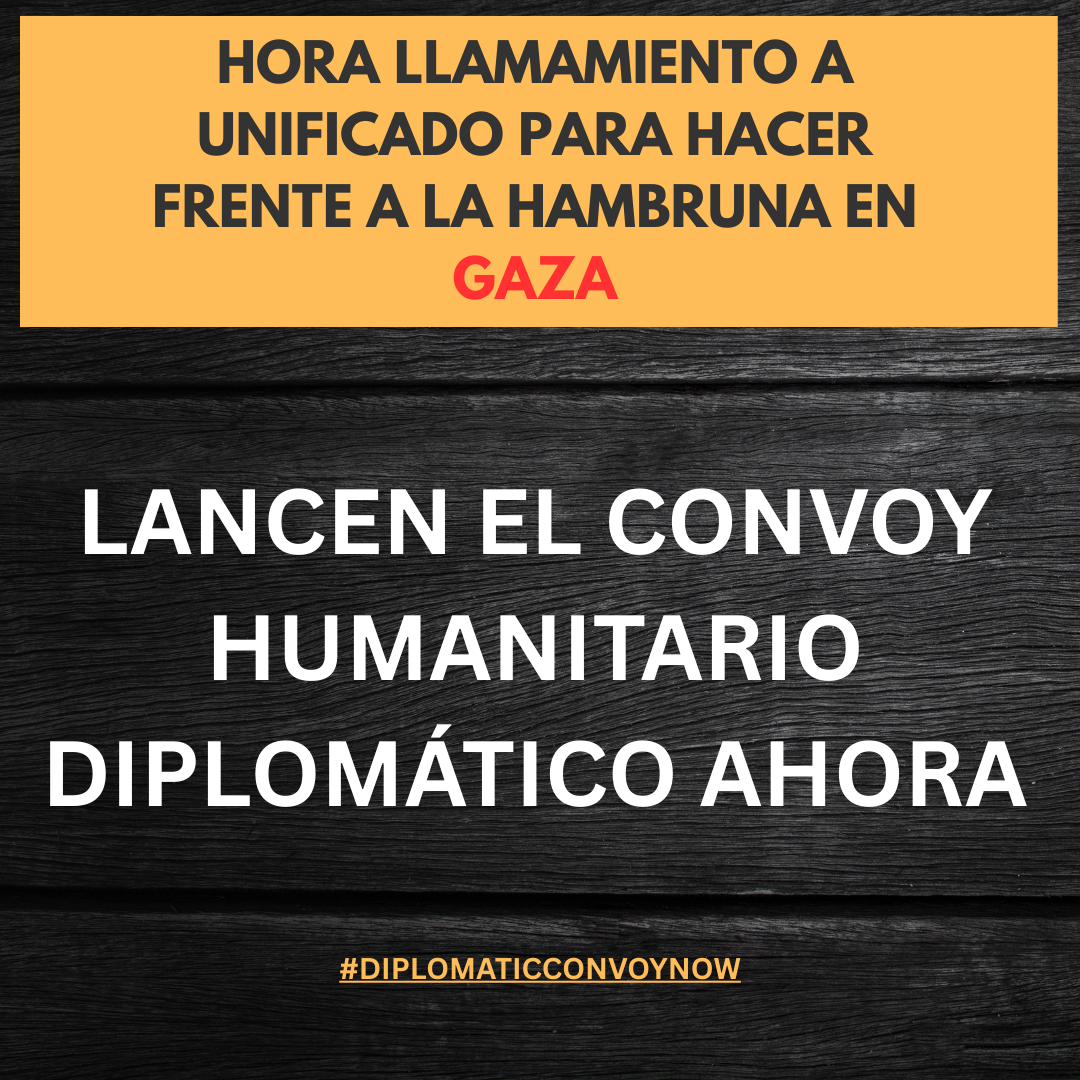 GAZA: CONVOY HUMANITARIO DIPLOMÁTICO